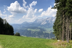 IMG_5980