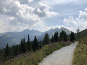 aussicht